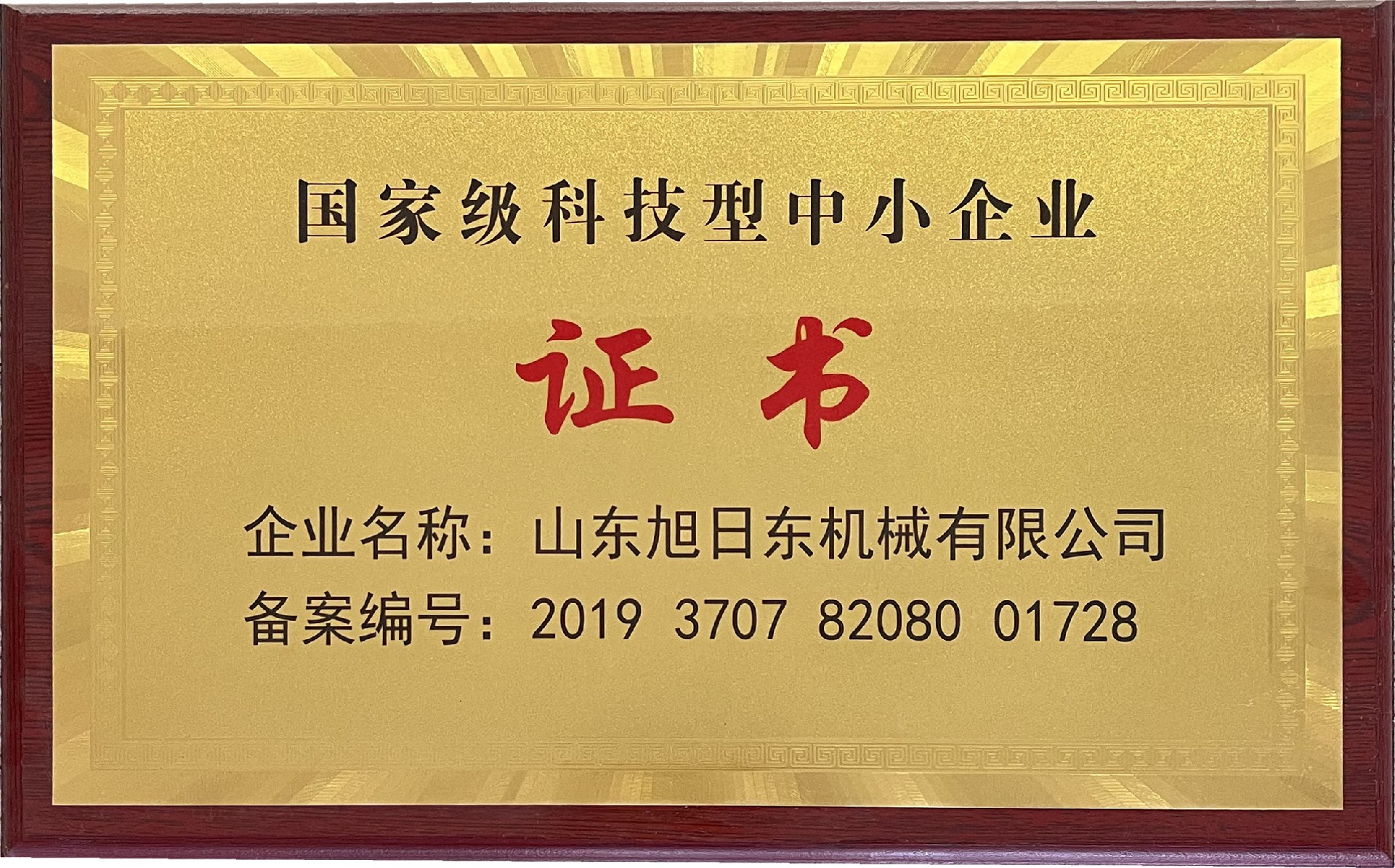 国家科技型企业.jpg