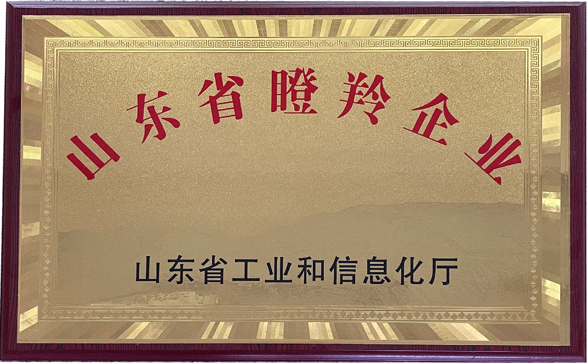 山东省瞪羚企业.png